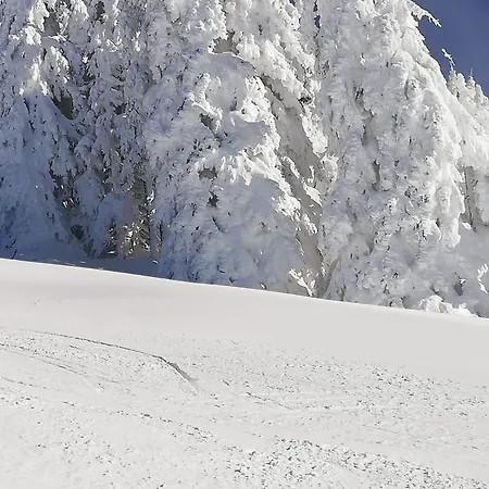 Nocleg ze śniadaniem Brigitte