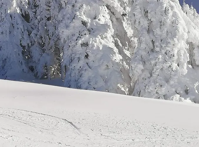 Bed & Breakfast Brigitte